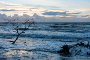 Fischland, Darß, Weststrand im Abendlicht, Sturm, Treibgut Fischland, Darß, Weststrand im Abendlicht, Sturm, Treibgut